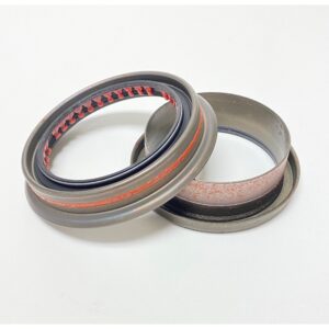 OIL SEAL 100494