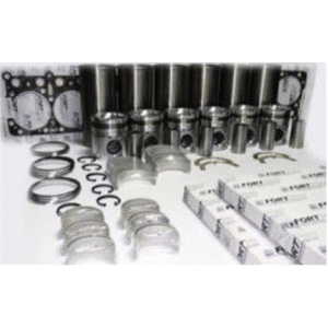 Overhaul Kit (2 VH) E6 Long Life(SSS) FORTPRO